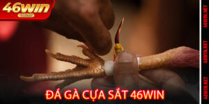 Đá Gà Cựa Sắt 46win